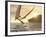 Pterosaur Fishing, Computer Artwork-Roger Harris-Framed Photographic Print