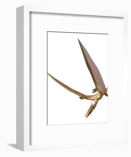 Pterosaur Flying, Computer Artwork-Roger Harris-Framed Premium Photographic Print