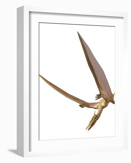 Pterosaur Flying, Computer Artwork-Roger Harris-Framed Photographic Print