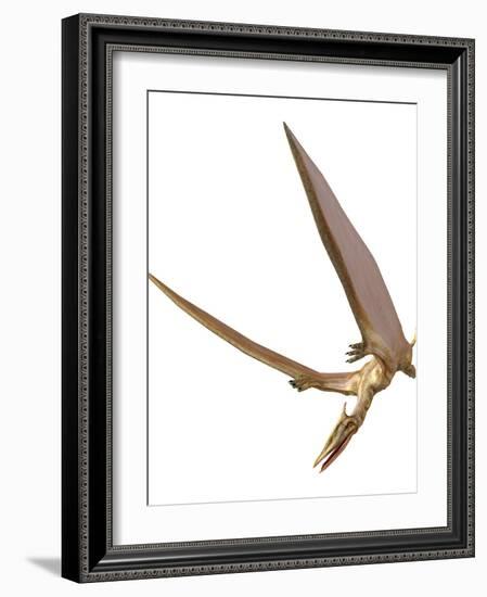 Pterosaur Flying, Computer Artwork-Roger Harris-Framed Photographic Print