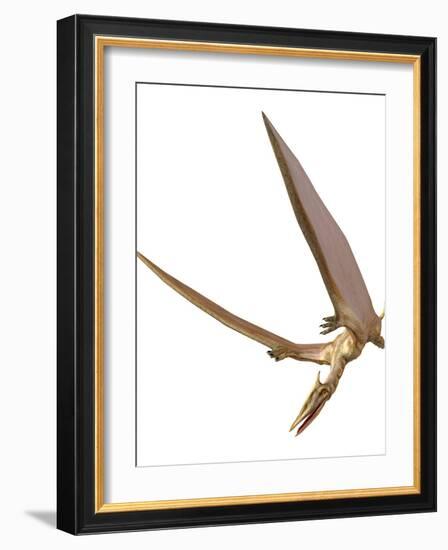 Pterosaur Flying, Computer Artwork-Roger Harris-Framed Photographic Print