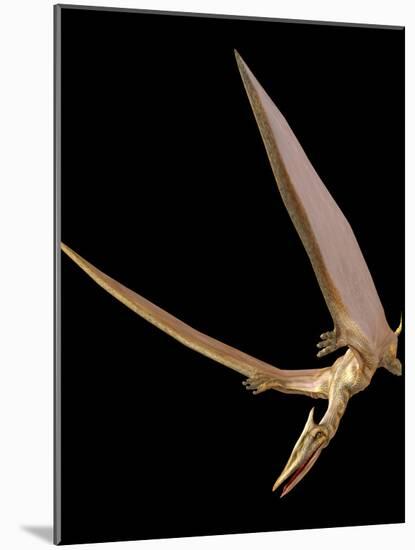 Pterosaur Flying, Computer Artwork-Roger Harris-Mounted Photographic Print