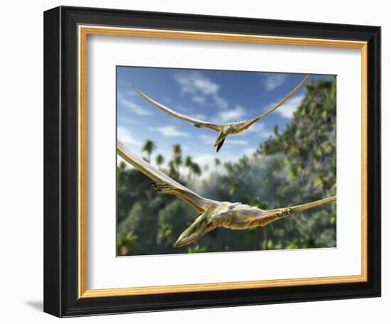 Pterosaurs Flying, Computer Artwork-Roger Harris-Framed Premium Photographic Print