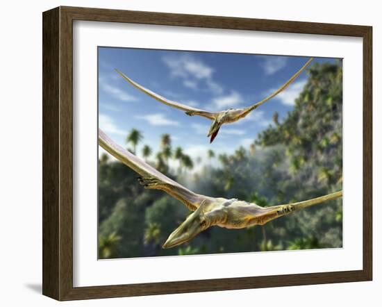 Pterosaurs Flying, Computer Artwork-Roger Harris-Framed Photographic Print