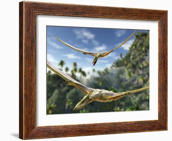 Pterosaurs Flying, Computer Artwork-Roger Harris-Framed Photographic Print