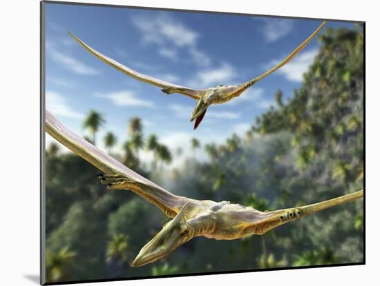 Pterosaurs Flying, Computer Artwork-Roger Harris-Mounted Photographic Print