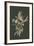 Ptilonorhynchus Smithii - Sage-John Gould-Framed Art Print
