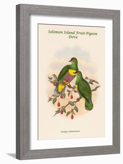 Ptilopus Solomonensis - Solomon Island Fruit-Pigeon - Dove-John Gould-Framed Art Print