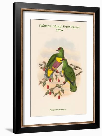 Ptilopus Solomonensis - Solomon Island Fruit-Pigeon - Dove-John Gould-Framed Art Print