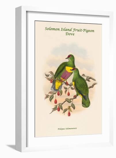 Ptilopus Solomonensis - Solomon Island Fruit-Pigeon - Dove-John Gould-Framed Art Print