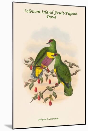 Ptilopus Solomonensis - Solomon Island Fruit-Pigeon - Dove-John Gould-Mounted Art Print