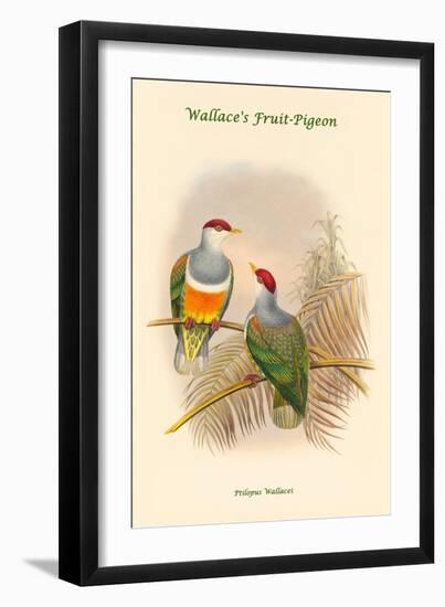 Ptilopus Wallacei -Wallace's Fruit-Pigeon-John Gould-Framed Art Print