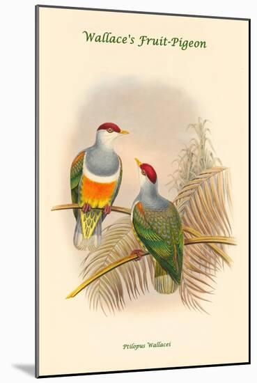 Ptilopus Wallacei -Wallace's Fruit-Pigeon-John Gould-Mounted Art Print