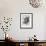 Ptilota plumosa - Noir-Henry Bradbury-Framed Giclee Print displayed on a wall