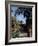 Public Garden of Taormina, Sicily, Italy-Connie Ricca-Framed Photographic Print