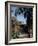 Public Garden of Taormina, Sicily, Italy-Connie Ricca-Framed Photographic Print