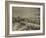 Public Reading Rooms at the Public Library, Los Angeles, CA, C.1905-null-Framed Photographic Print