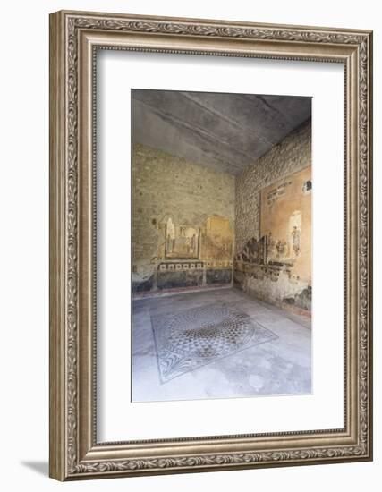 Public Sitting Room Mosaic, Frescoed Walls in House of Amorini Dorati (Golden Cupids), Pompeii-Eleanor Scriven-Framed Photographic Print