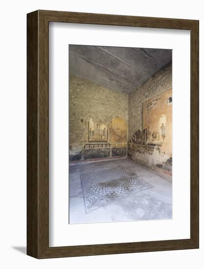 Public Sitting Room Mosaic, Frescoed Walls in House of Amorini Dorati (Golden Cupids), Pompeii-Eleanor Scriven-Framed Photographic Print