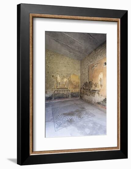 Public Sitting Room Mosaic, Frescoed Walls in House of Amorini Dorati (Golden Cupids), Pompeii-Eleanor Scriven-Framed Photographic Print