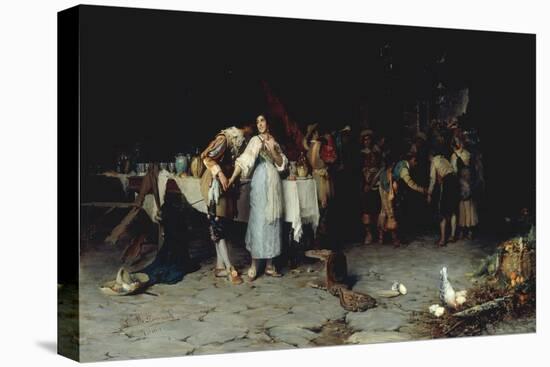 Stretched Canvas Print, , large