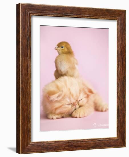 Pudding-Rachael Hale-Framed Art Print