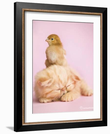 Pudding-Rachael Hale-Framed Art Print