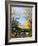 Puddle on the Path-Michel Bultet-Framed Giclee Print