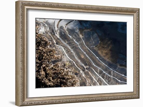 Puddles in Deep Tractor Ruts Frozen on a Cold Bright Winter Morning in January, West Berkshire-Nigel Cattlin-Framed Photographic Print