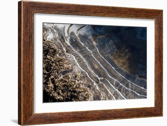 Puddles in Deep Tractor Ruts Frozen on a Cold Bright Winter Morning in January, West Berkshire-Nigel Cattlin-Framed Photographic Print