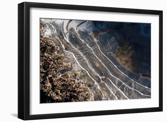 Puddles in Deep Tractor Ruts Frozen on a Cold Bright Winter Morning in January, West Berkshire-Nigel Cattlin-Framed Photographic Print