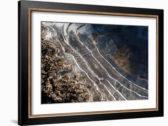 Puddles in Deep Tractor Ruts Frozen on a Cold Bright Winter Morning in January, West Berkshire-Nigel Cattlin-Framed Photographic Print