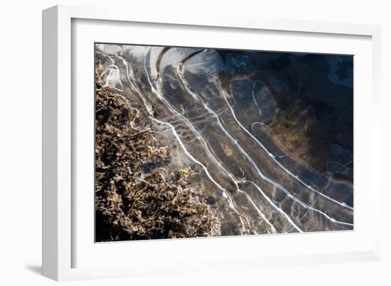 Puddles in Deep Tractor Ruts Frozen on a Cold Bright Winter Morning in January, West Berkshire-Nigel Cattlin-Framed Photographic Print