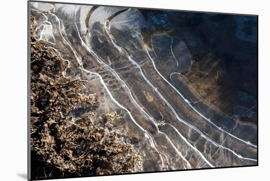 Puddles in Deep Tractor Ruts Frozen on a Cold Bright Winter Morning in January, West Berkshire-Nigel Cattlin-Mounted Photographic Print