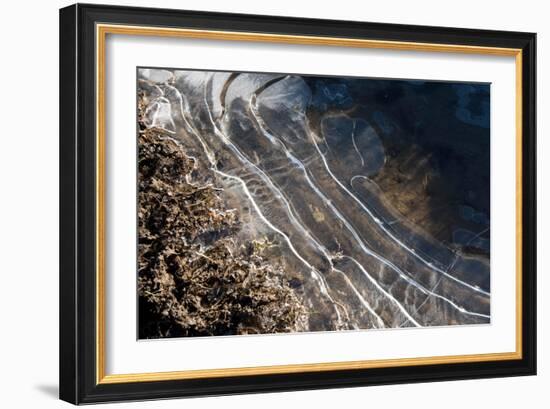 Puddles in Deep Tractor Ruts Frozen on a Cold Bright Winter Morning in January, West Berkshire-Nigel Cattlin-Framed Photographic Print