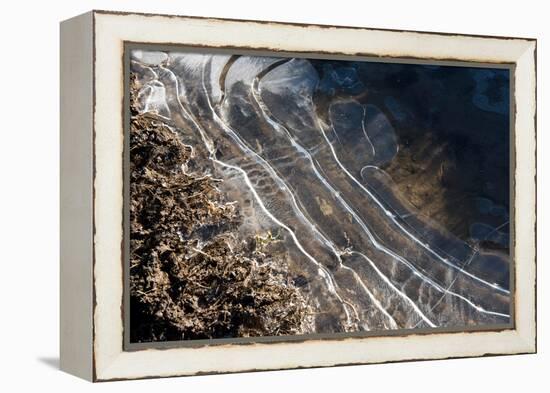 Puddles in Deep Tractor Ruts Frozen on a Cold Bright Winter Morning in January, West Berkshire-Nigel Cattlin-Framed Premier Image Canvas