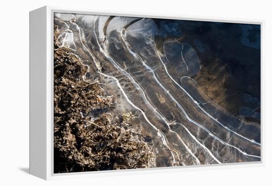 Puddles in Deep Tractor Ruts Frozen on a Cold Bright Winter Morning in January, West Berkshire-Nigel Cattlin-Framed Premier Image Canvas