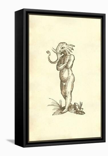 Puer Capite Elephantino-Ulisse Aldrovandi-Framed Stretched Canvas