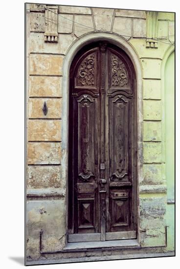 Puerta I-Irene Suchocki-Mounted Giclee Print