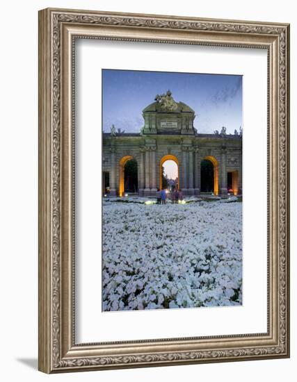 Puerto De Alcala at Dusk and White Flowerbed, Madrid, Spain, Europe-Charles Bowman-Framed Photographic Print