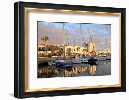 Puerto de Morgan, Gran Canaria, Canary Islands, Spain, Atlantic Ocean, Europe-Neil Farrin-Framed Photographic Print