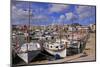 Puerto Pollenca, Majorca, Balearic Islands, Spain, Mediterranean, Europe-Hans-Peter Merten-Mounted Photographic Print