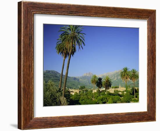 Puerto Pollensa, Majorca (Mallorca), Balearic Islands, Spain, Europe-Ruth Tomlinson-Framed Photographic Print