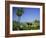 Puerto Pollensa, Majorca (Mallorca), Balearic Islands, Spain, Europe-Ruth Tomlinson-Framed Photographic Print