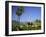 Puerto Pollensa, Majorca (Mallorca), Balearic Islands, Spain, Europe-Ruth Tomlinson-Framed Photographic Print