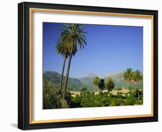 Puerto Pollensa, Majorca (Mallorca), Balearic Islands, Spain, Europe-Ruth Tomlinson-Framed Photographic Print