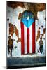 Puerto Rican Flag Door-George Oze-Mounted Photographic Print