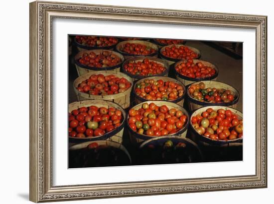 Puerto Rico: Tomatoes-Jack Delano-Framed Giclee Print