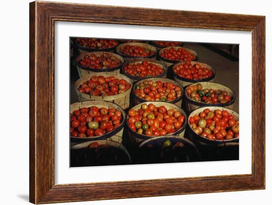 Puerto Rico: Tomatoes-Jack Delano-Framed Giclee Print