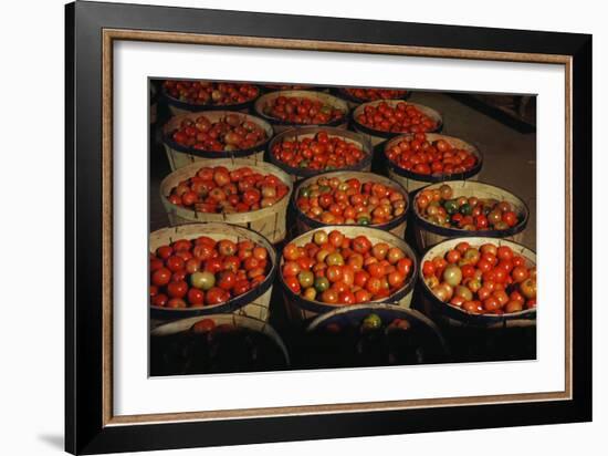 Puerto Rico: Tomatoes-Jack Delano-Framed Giclee Print